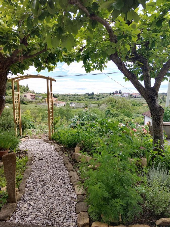 Apartma Salvia-Guest House Lucija Zewnętrze zdjęcie