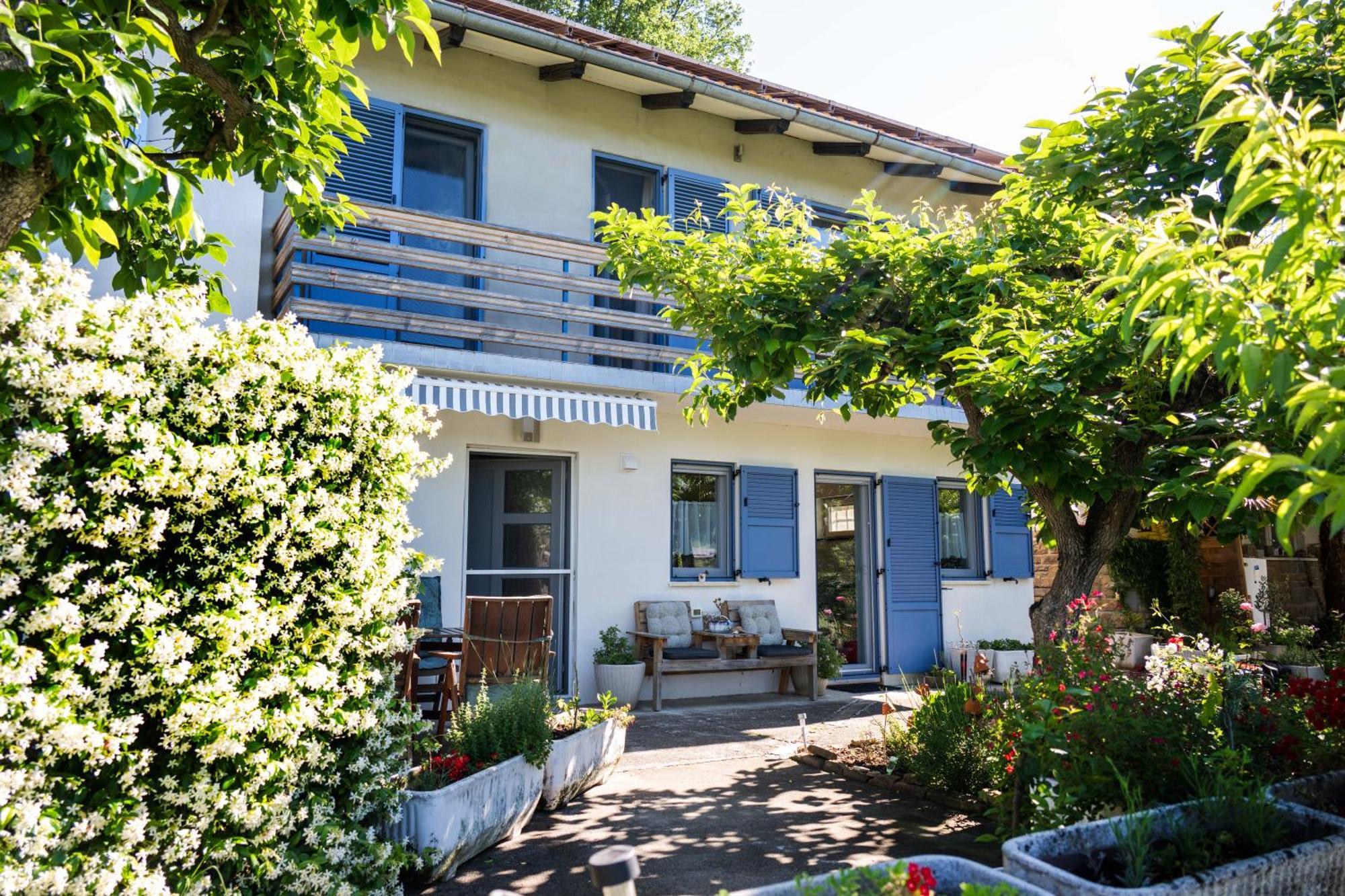 Apartma Salvia-Guest House Lucija Zewnętrze zdjęcie